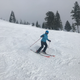 Illustration for article titled 2019-2020 Ski Season in Review